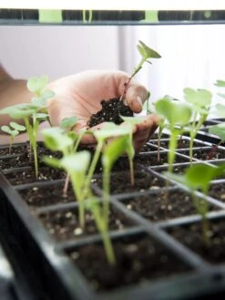 LED Stack-n-Grow Lights - Base Unit -The Garden Works Shop 8595770 7373 tif