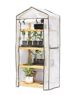 VegTrug® Patio Greenhouse -The Garden Works Shop 8595803 7136 tif