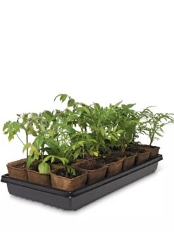 3-1/2” Square Biodegradable Pots & Tray Set -The Garden Works Shop 8595968 3916 tif