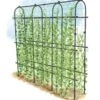 Titan Pea Tunnel -The Garden Works Shop 8596275 0002 1 tif