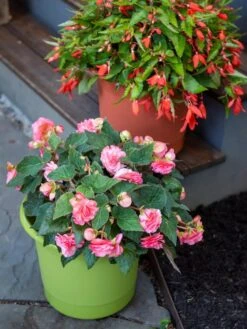 Eezy Gro Self-Watering Planters -The Garden Works Shop 8596427 0034 tif