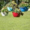 Viva Self-Watering Hanging Basket, 14" Diameter -The Garden Works Shop 8596442 0851 tif