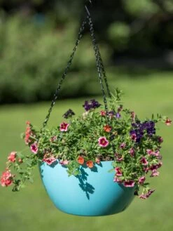 Viva Self-Watering Hanging Basket, 14" Diameter -The Garden Works Shop 8596442 0859 tif
