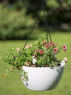 Viva Self-Watering Hanging Basket, 14" Diameter -The Garden Works Shop 8596442 0864 tif