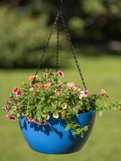 Viva Self-Watering Hanging Basket, 14" Diameter -The Garden Works Shop 8596442 0876 tif