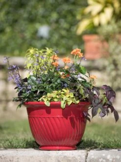 Mazzano Self-Watering Planters -The Garden Works Shop 8596564 4883 tif