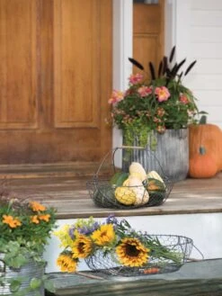 Galvanized Rim Planters -The Garden Works Shop 8597379 1625 tif