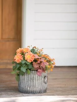 Galvanized Ribbed Planters -The Garden Works Shop 8597434 1695 tif