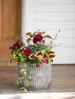 Galvanized Ribbed Planters -The Garden Works Shop 8597435 1693 tif