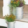 Galvanized Rim Planters 2 Galvanized Rim Planters -The Garden Works Shop 8597442 1700 tif