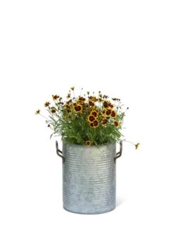 Galvanized Rim Planters -The Garden Works Shop 8597442 1705 tif