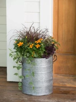 Galvanized Rim Planters -The Garden Works Shop 8597443 1708 tif