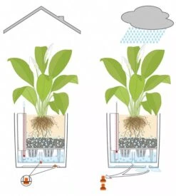 Lechuza® Cube Premium Planters -The Garden Works Shop 8597506 05V tif