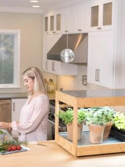 Low Bamboo LED Grow Light Garden -The Garden Works Shop 8597720 0816 tif