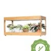 Low Bamboo LED Grow Light Garden -The Garden Works Shop 8597720 10i