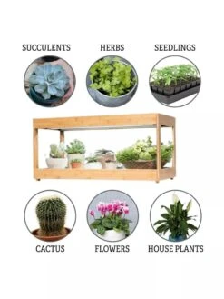 Low Bamboo LED Grow Light Garden -The Garden Works Shop 8597720 3