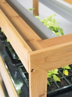 Bamboo Home LED Grow Light Garden -The Garden Works Shop 8597720 7795 tif 2