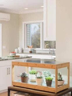 Low Bamboo LED Grow Light Garden -The Garden Works Shop 8597720 9385 tif