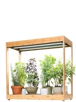 Medium Bamboo LED Grow Light Garden -The Garden Works Shop 8597883 1011 tif