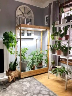 Tall Bamboo LED Grow Light Garden -The Garden Works Shop 8597884 01IN tif