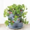 Stacking Strawberry Pot -The Garden Works Shop 8597996 9004 tif