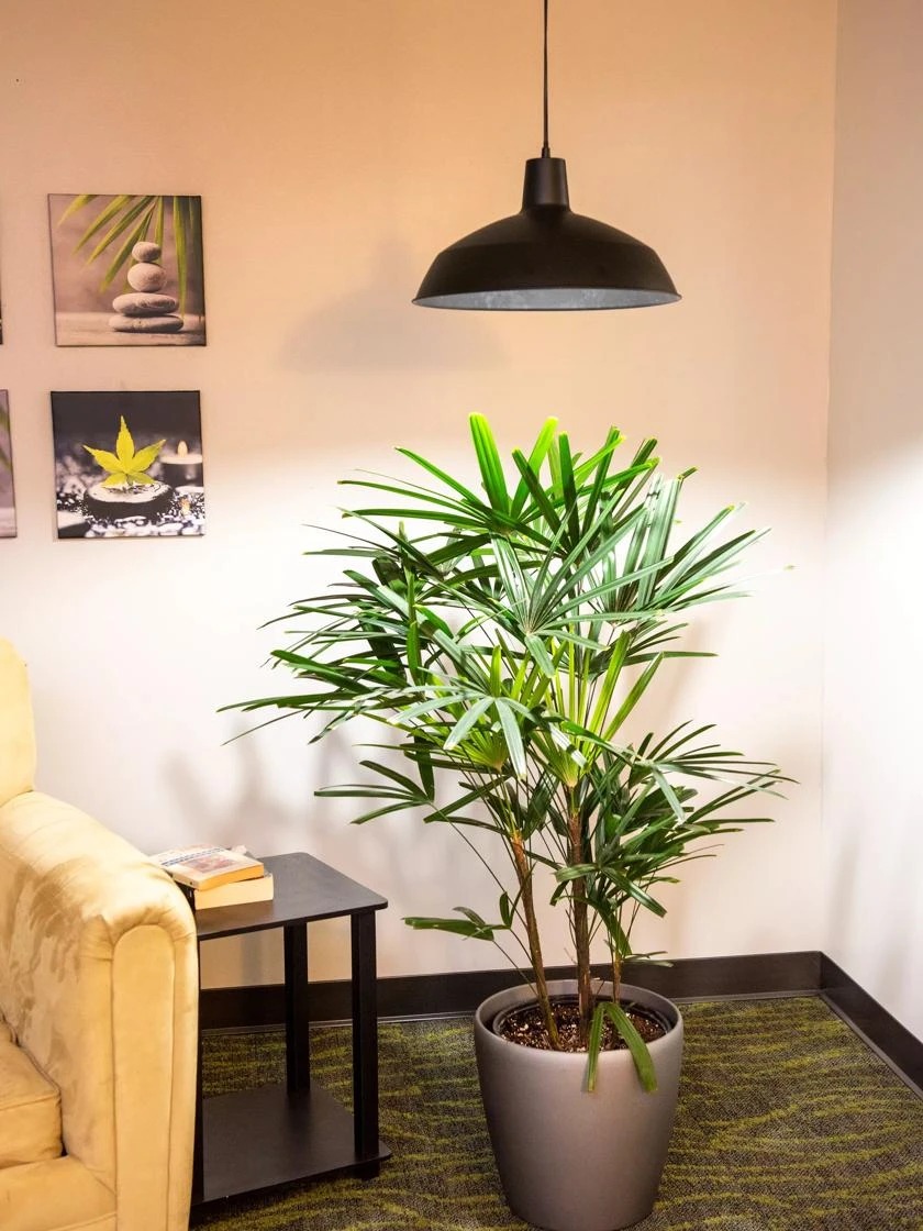 Barnyard Pendant LED Grow Light 5 Barnyard Pendant LED Grow Light - Image 3