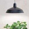 Barnyard Pendant LED Grow Light -The Garden Works Shop 8598025 8139 tif