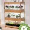 Bamboo LED Grow Light Garden For Succulents And Seeds -The Garden Works Shop 8598084 6i