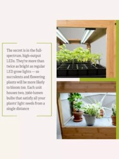 Bamboo LED Grow Light Garden For Succulents And Seeds -The Garden Works Shop 8598084 7