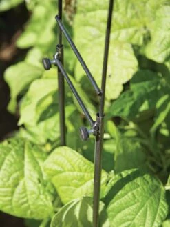 Adjustable Super Hoops, Set Of 3 -The Garden Works Shop 8598301 0640 tif