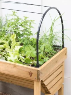 VegTrug® Mini Wallhugger Planter With Cover 10 VegTrug® Mini Wallhugger Planter With Cover -The Garden Works Shop 8598339 4004 tif
