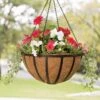 AquaSav™ Oxford Hanging Basket, 20" 2 AquaSav™ Oxford Hanging Basket, 20" -The Garden Works Shop 8598380 8749 tif