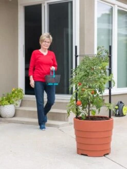 Gardener’s Victory Self-Watering Planter With Support System -The Garden Works Shop 8598384 6011 tif