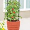 Gardener’s Victory Self-Watering Planter With Support System 2 Gardener’s Victory Self-Watering Planter With Support System -The Garden Works Shop 8598384 6012 tif