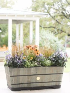 VegTrug™ Trough Planters -The Garden Works Shop 8598402 08880 tif