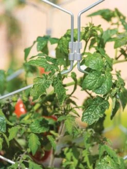 Gardener's Vertex Lifetime Tomato Cage -The Garden Works Shop 8598426 0011 tif