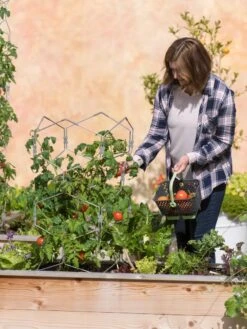 Gardener's Vertex Lifetime Tomato Cage -The Garden Works Shop 8598426 0026 tif