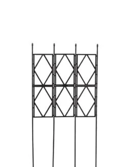 Diamond Trellis -The Garden Works Shop 8598437 9996 tif