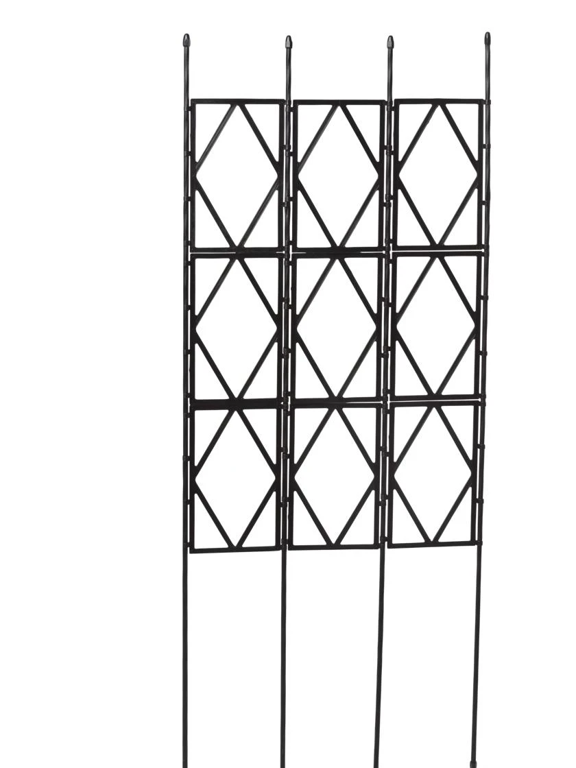 Diamond Trellis 4 Diamond Trellis - Image 2