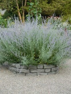 Rock Lock Interlocking Garden System, Curved Sets -The Garden Works Shop 8598737 04V tif