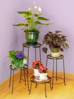 Achla Designs Argyle Plant Stand, 12" -The Garden Works Shop 8598754 02V tif