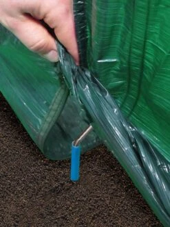 Super Dome Protection Tunnel -The Garden Works Shop 8598847 04V tif