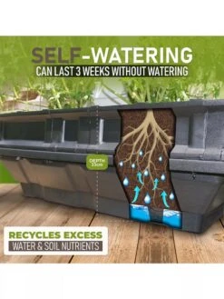 Vegepod Raised Garden Beds -The Garden Works Shop 8598930 02V