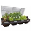 Vegepod Raised Garden Beds -The Garden Works Shop 8598931 02V