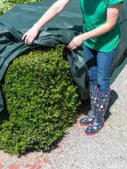 The Planket® Frost Protection Plant Cover, 10' X 20' 9 The Planket® Frost Protection Plant Cover, 10' X 20' -The Garden Works Shop 8599101 0929 tif