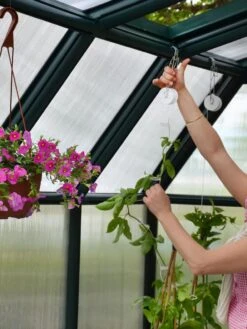 Canopia® By Palram Hobby Gardener Greenhouse, 8' -The Garden Works Shop 8599331 04V tif