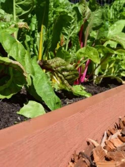 Straight Landscape Edging Kit With 2" Boards 8 Straight Landscape Edging Kit With 2" Boards -The Garden Works Shop 8599408 02V tif