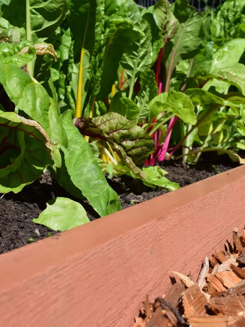 Straight Landscape Edging Kit With 2" Boards 5 Straight Landscape Edging Kit With 2" Boards - Image 3