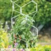 Gardener's Vertex Lifetime Pepper And Eggplant Cage -The Garden Works Shop 8599554 3000 tif