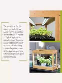 Bamboo Mini LED Grow Light Garden -The Garden Works Shop 8599624 06